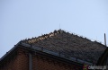 Jeżeli z dachu spadają dachówki to znak, że pora na ich wymianę