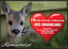 Ośrodek Rehabilitacji Dzikich Zwierząt Klekusiowo prosi o przekazanie 1 proc. podatku