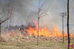 Płonie łąka przy ul. Samorządowej 
