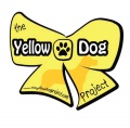 Czy wiesz, co oznacza żółta kokardka przy psiej obroży?