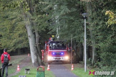 Strażacy interweniowali w Parku Piastowskim