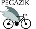 Eliminacje miejskie do XX Dolnośląskiego Konkursu Recytatorskiego PEGAZIK