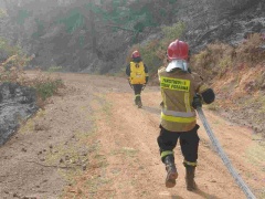 Lokalni strażacy w Grecji. Walka z pożarami na wyspie Eubea