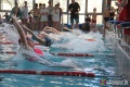 Sportowe zmagania na chojnowskiej pływalni [ZDJĘCIA]
