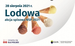 Lody za udział w spisie. Promocyjna akcja na chojnowskim Rynku