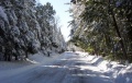 Plan zimowego utrzymania dróg na terenie Gminy Chojnów
